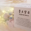 플로랄유 이미지