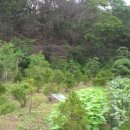 복돼지부동산공인중개사사무소 이미지