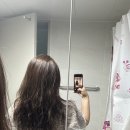 이제 저번 달 일도 가물가물 가물치라 아무말대잔치