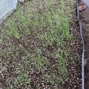 애지중지 이미지