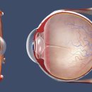 괴정동물병원 이미지