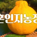 탄탄농장 이미지