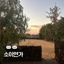 연가 | 제주 서귀포 감성숙소 소이연가 내돈내산 후기 예약 주차 조식