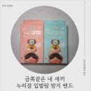 하이콜 | [입벌림방지밴드 추천]금쪽 같은 내 새끼 입벌림 방지 밴드로 구강 호흡 하는 아이들 제대로 숨쉬게...