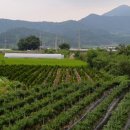 주암창촌보건진료소 이미지