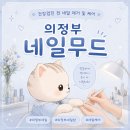 네일무드 - 진주시 | 의정부 네일샵 네일무드 내돈내산 네일케어 후기