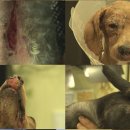 서명농장 이미지