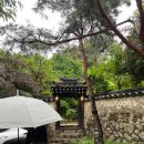 11500-15-11-26 | 성북동 한옥카페 수연산방 평일 웨이팅 후기