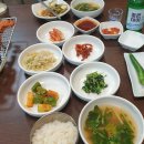 심길선청송양곱창 네이버블로그