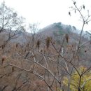 대한노인회남양주지회취업지원센터