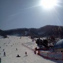 양지파인리조트 이미지