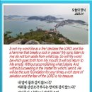 오늘의 양식