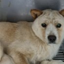 원북119안전센터 이미지