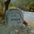 금화계곡주차장 이미지