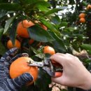 우도농장 이미지