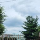 서울풍납초등학교 이미지