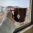 변약초 이미지
