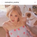 마이도터스 이미지