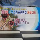 풍산읍 풍북 초등학교 총동문회를 마치고...... 이미지