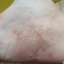 엘림피부과의원 이미지