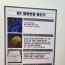 세탁앤빨래방 이미지