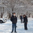 명동산장펜션 이미지