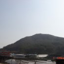 장룡