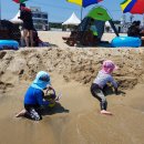 솔이네민박 이미지