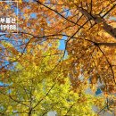 미사나무부동산공인중개사사무소 이미지