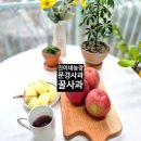 진이농장 이미지