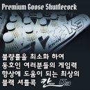 배드민턴하우스 이미지