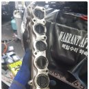 허니모터스 이미지