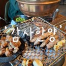 감사한양 | 발산역 양갈비 양꼬치 맛집 내돈내산 : 감사한양