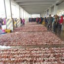 바다수산대게마트 이미지