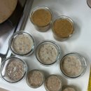 리치메이커 | 중기- 후기 이유식 (프로이유식메이커의 일상)