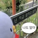 참치는못참치 이미지