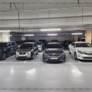 광탄중고차매매상사 | 믿고 찾은 남부중고차매매상사, 내 차 바꾸기 완벽 후기