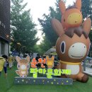 대형루 | 2025 순천팔마문화제•주말의광장•초대가수•행사•방문후기