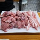 이가네돈뽈 네이버블로그