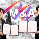 티랩스 쿠키뉴스
