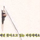 영배농장 이미지