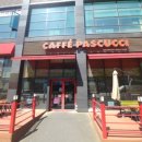 수원-1113 이미지