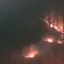 진천소방서 맞은편 이미지