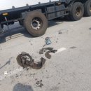 24카센타 이미지