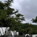 신림스테이캠프 이미지