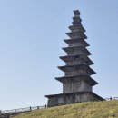 행정사 다인 이미지