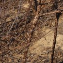 느티농원 이미지