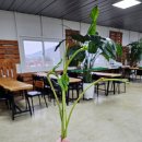 매지밀 딸기농장 이미지