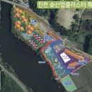 진천참숯 이미지