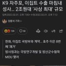 K9 자주포, 이집트 수출 마침내 성사… 2조원대 '사상 최대' 규모 이미지